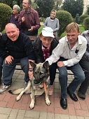 Четвероногие гости