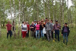 Прогулка по Владимирской глубинке. Заказник «Патакинская роща»